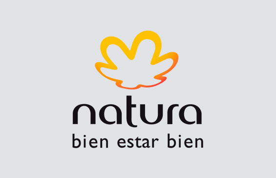 Proyecto 15